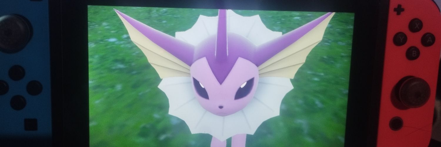 kakaudocee's profile banner image
