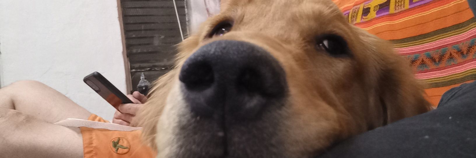 Sham_ii's profile banner image