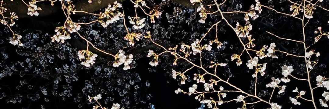 UnifiedShadow's profile banner image