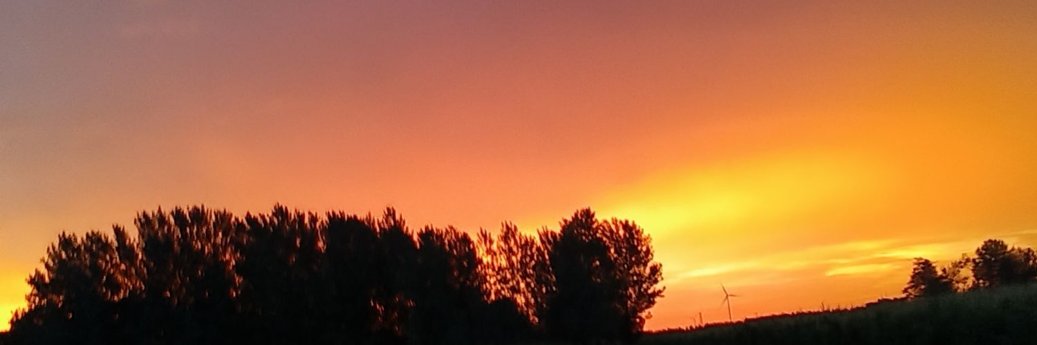 TheDog1927's profile banner image