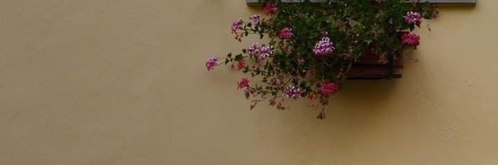 𝑨𝑰𝑺𝑯𝑨 banner