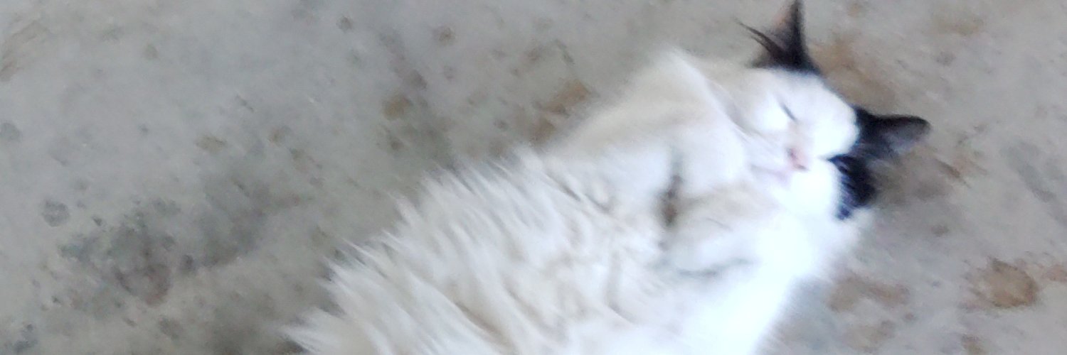 billstime14's profile banner image