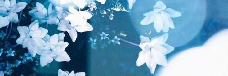 deranaac's profile banner image