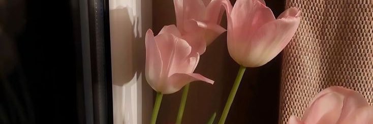 limje_'s profile banner image