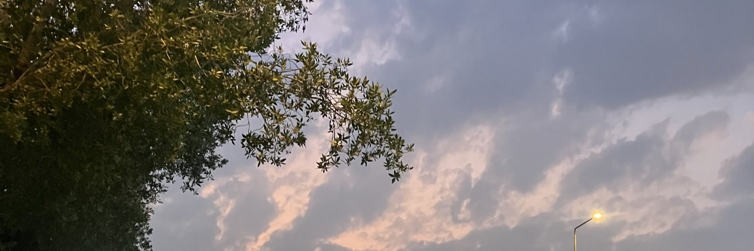 leveetw's profile banner image