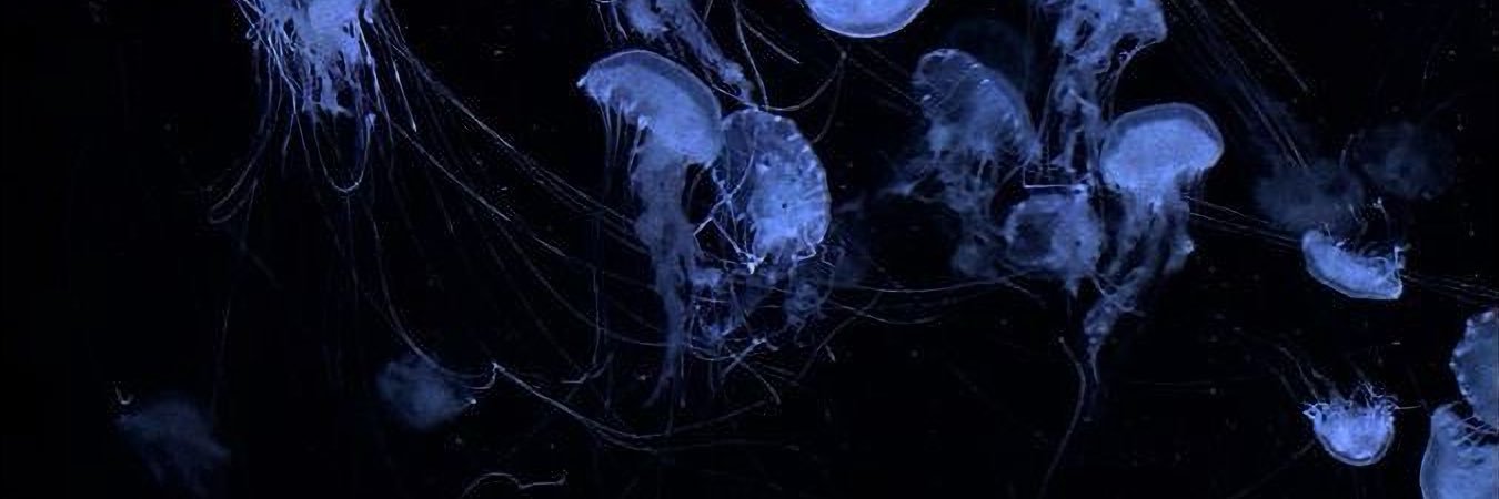 _0nd__'s profile banner image