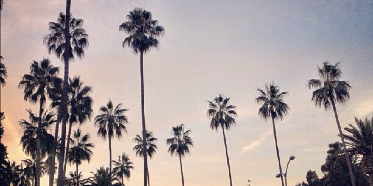 Taylorbrooke099's profile banner image