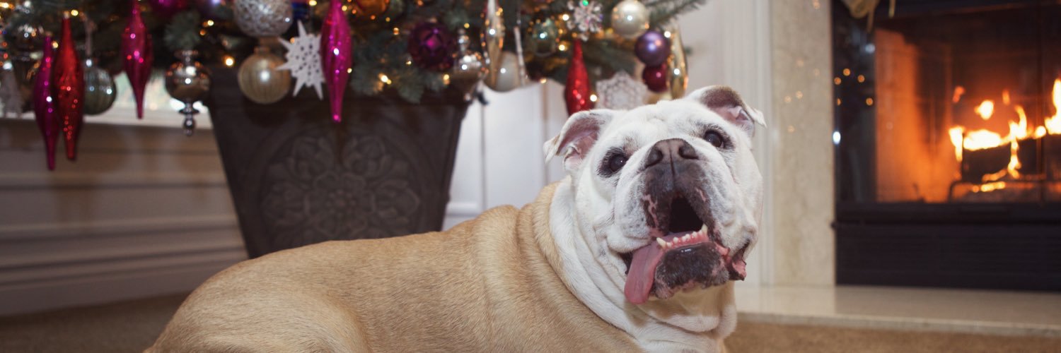 PrincessLucyB's profile banner image