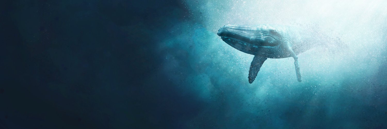 BlueAssetG's profile banner image