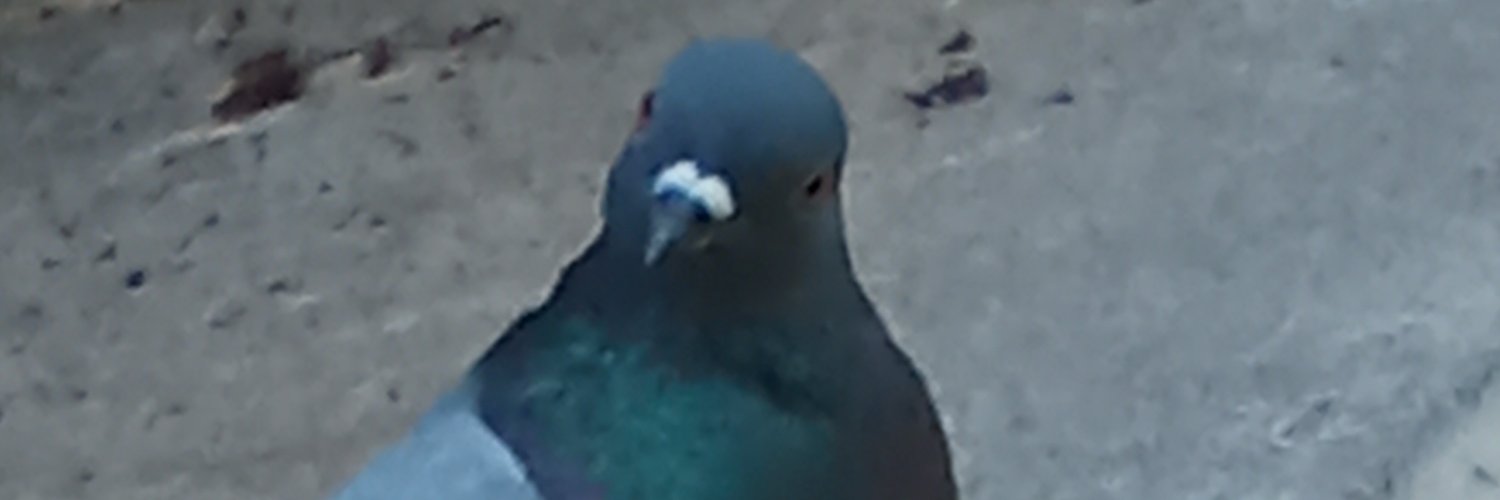 mochimango_109's profile banner image
