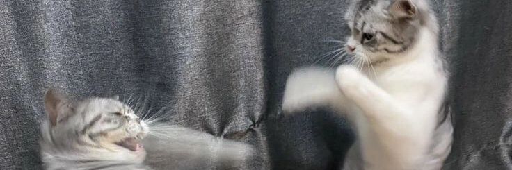 llyander's profile banner image