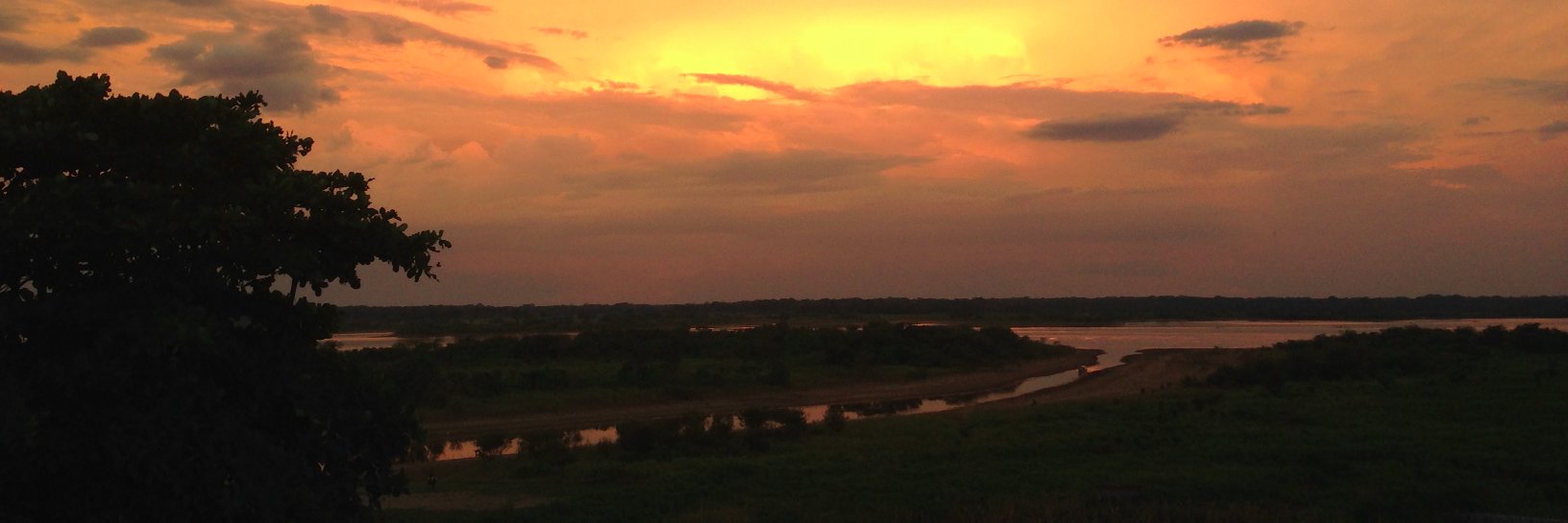 Cristina Loader banner