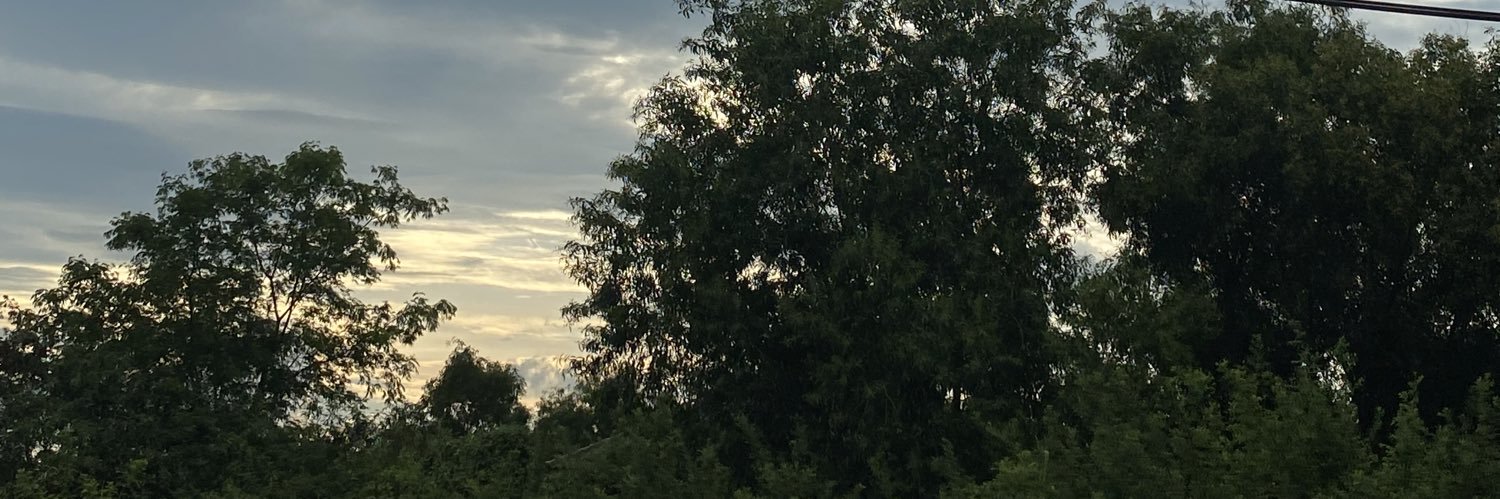 𝓟. banner