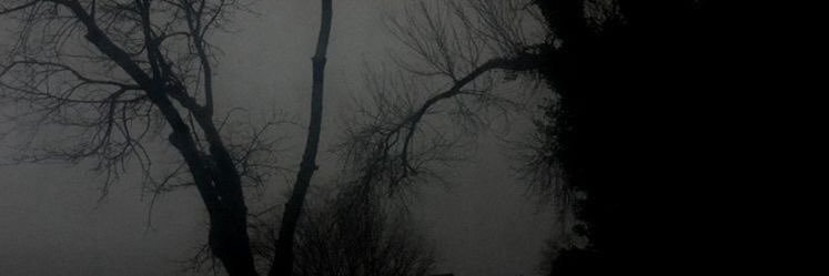 BitterIncentive's profile banner image