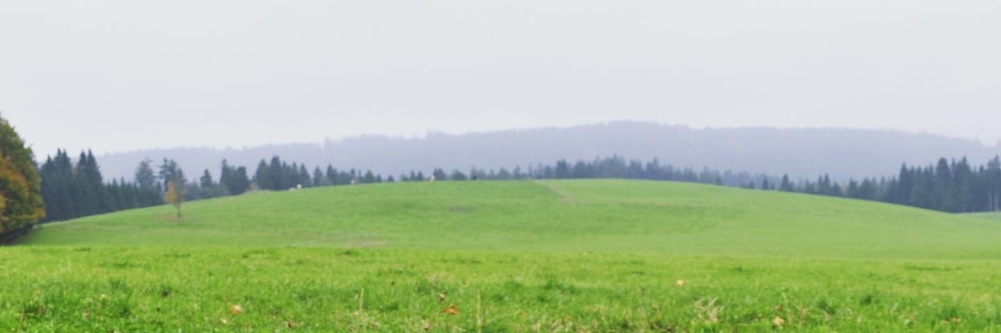 X5Veh's profile banner image