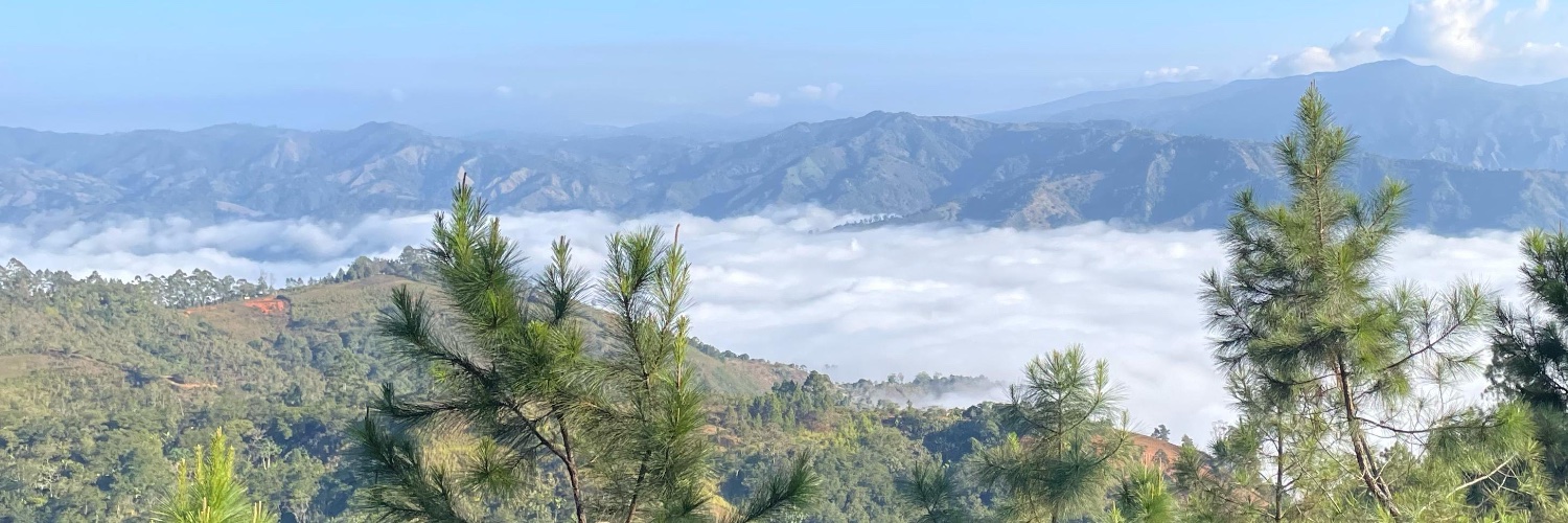aleramirezdi's profile banner image