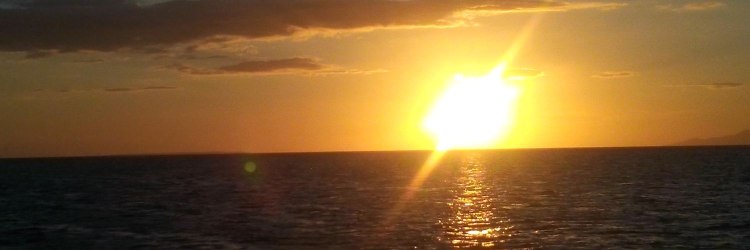 emanuelethedoc banner