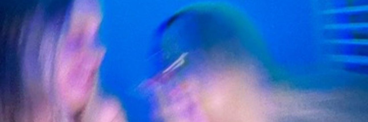 raphinhavsf's profile banner image