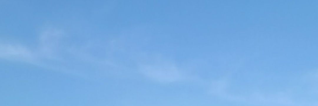 黄 banner