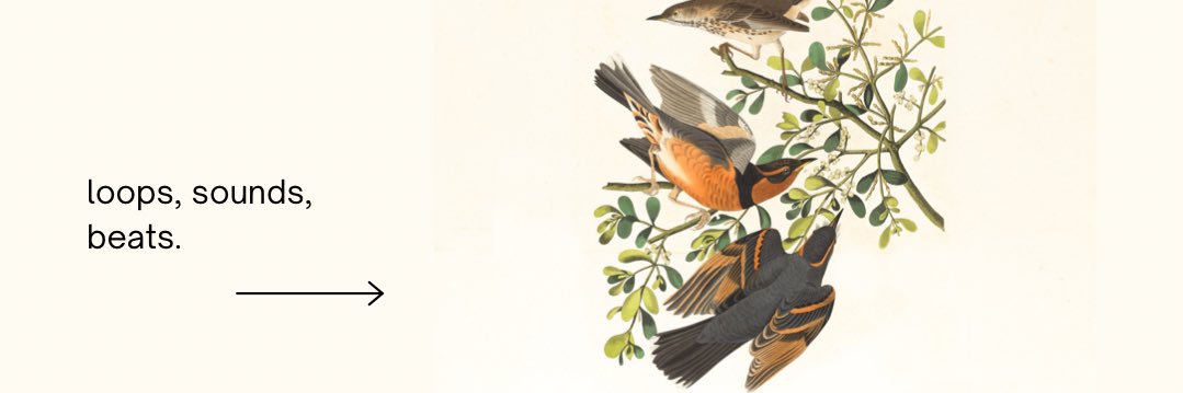 LAZERDISK's profile banner image