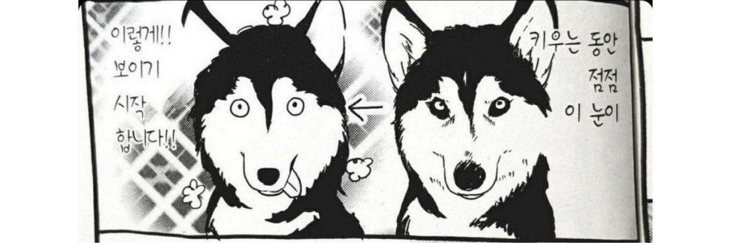 yummy4116's profile banner image