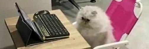 بہزاد Bez banner