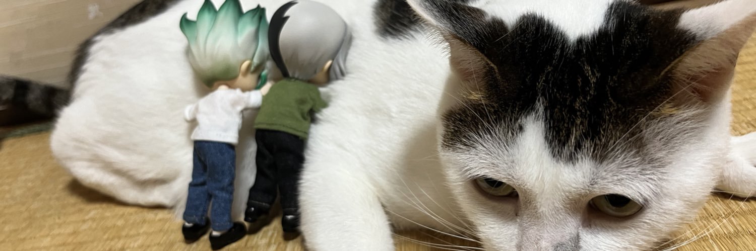 otsuki3_ds's profile banner image