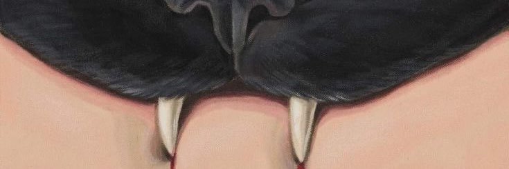 pntnd28's profile banner image