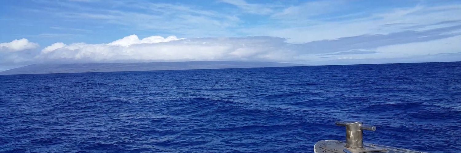 Jose Stratton banner