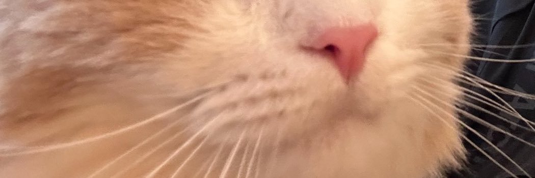 🌟 banner