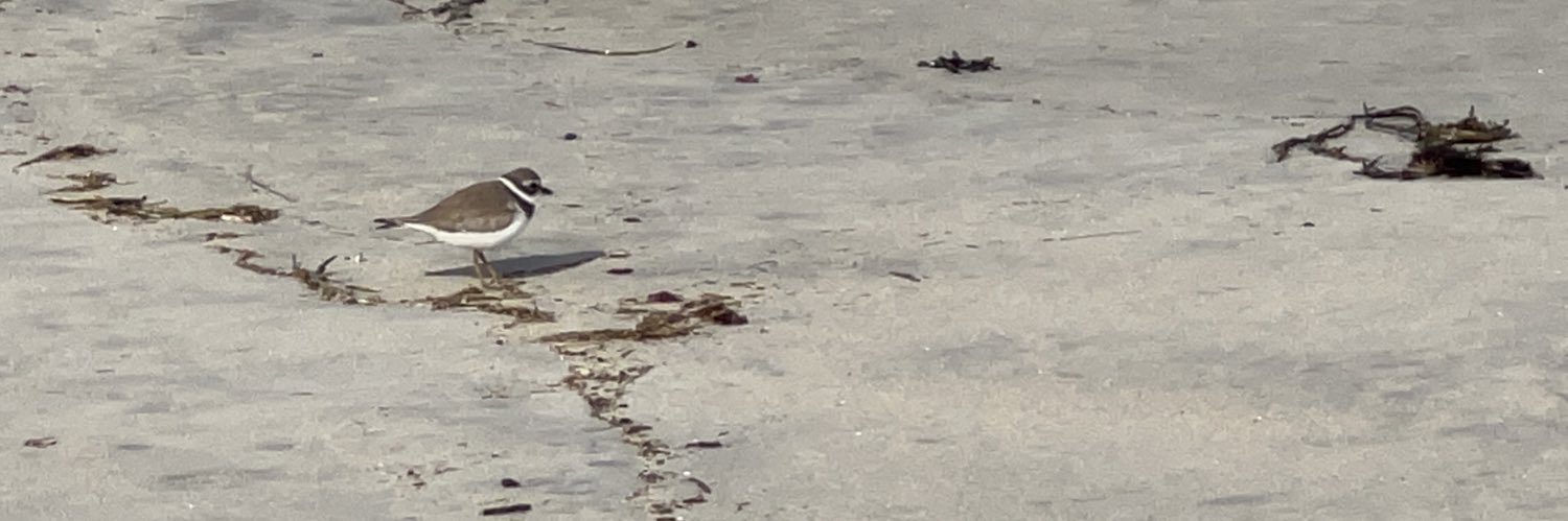 usediscernment7's profile banner image