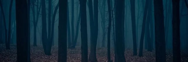 jabandzija's profile banner image