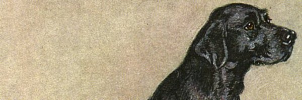 Keatingite Profile Banner