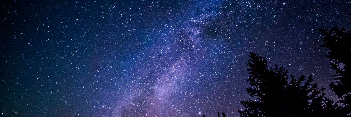 curlybre's profile banner image