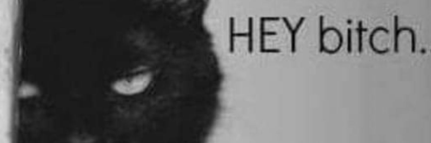MarkNovoty's profile banner image