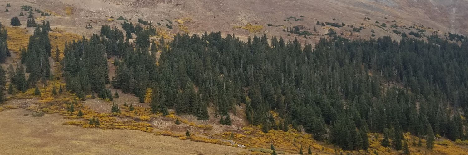 psrenta_'s profile banner image