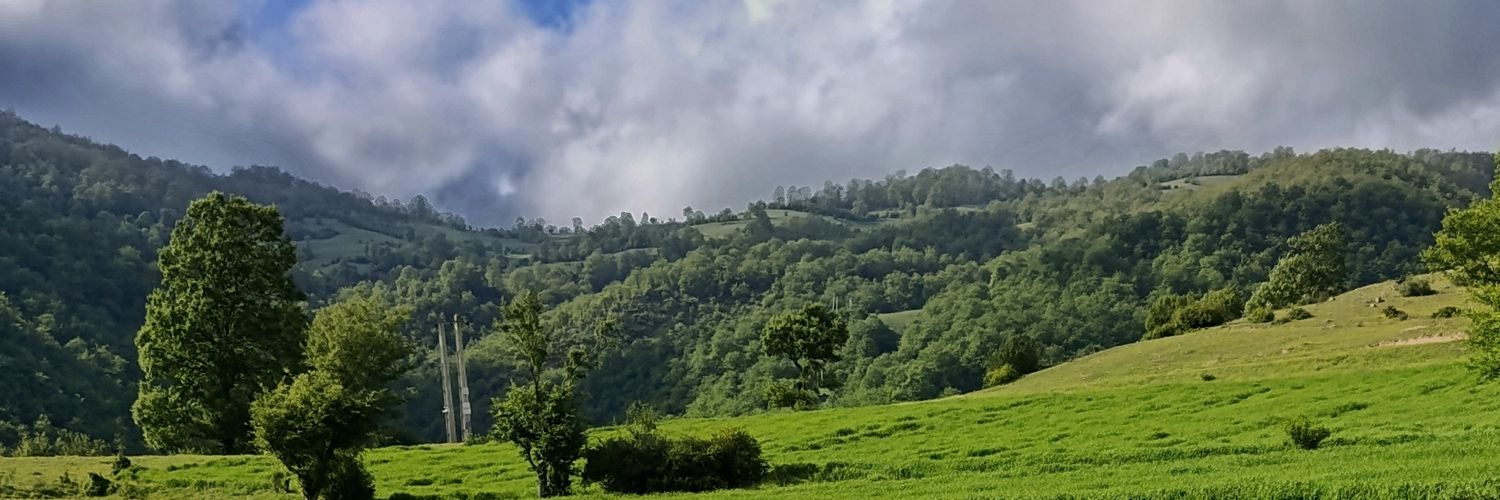 tapesh1818's profile banner image