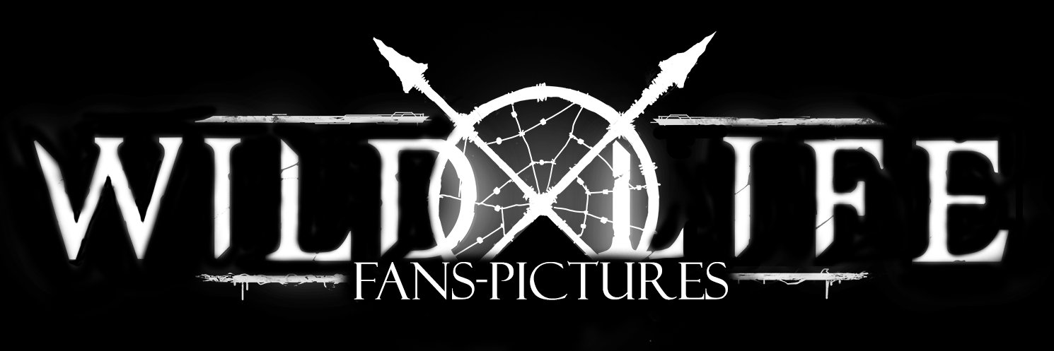 HolandaKasio's profile banner image