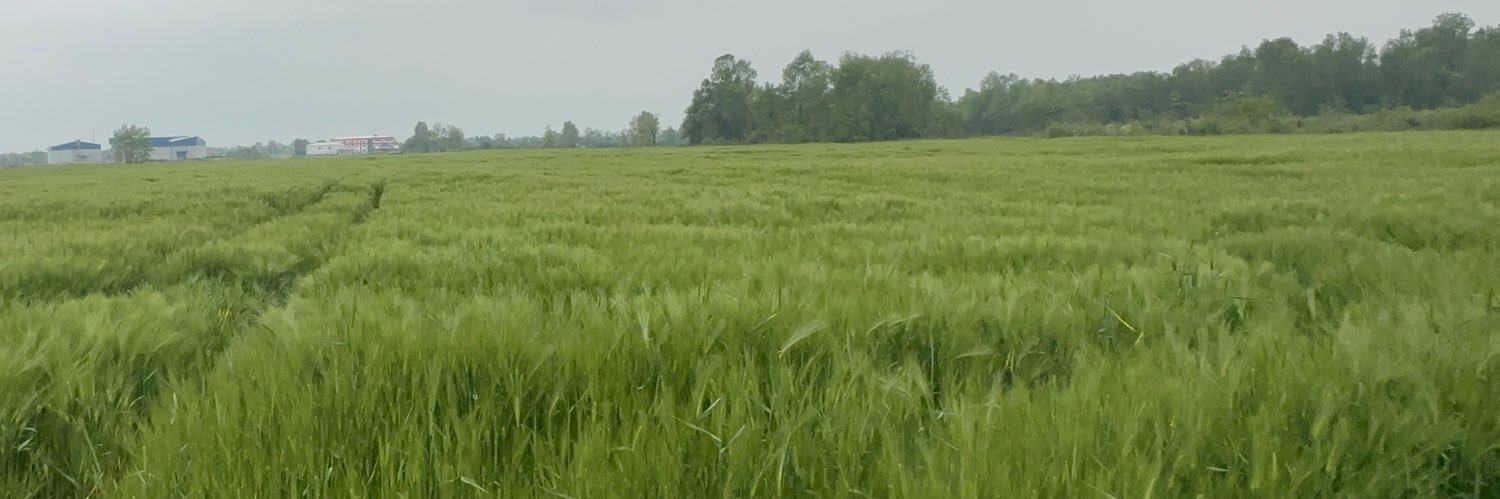 TausPac's profile banner image
