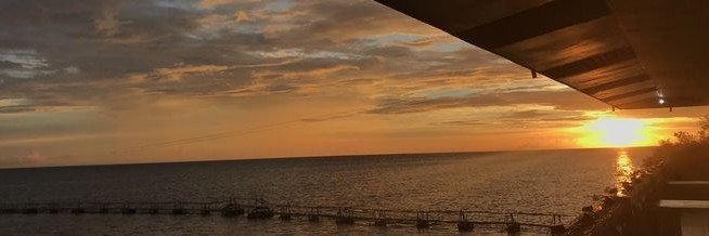 ofrkive's profile banner image