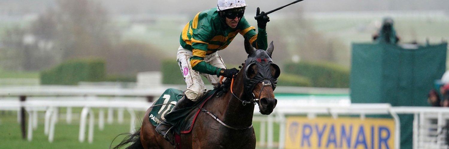 Sire Du Berlais banner