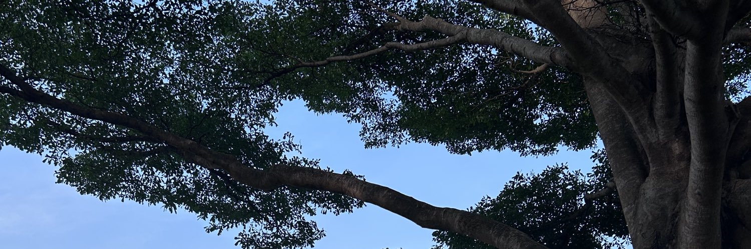 ㄹㄴ banner