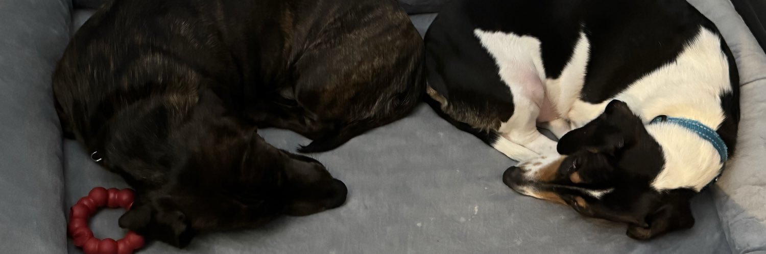 Robert Armstrong banner