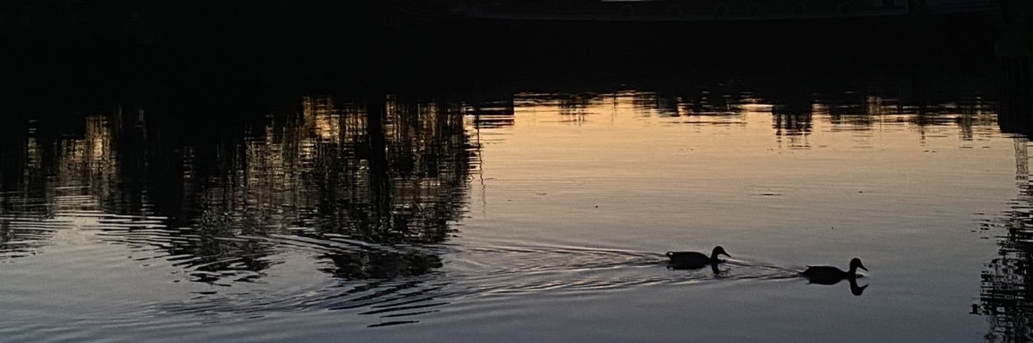 ytsa_02's profile banner image