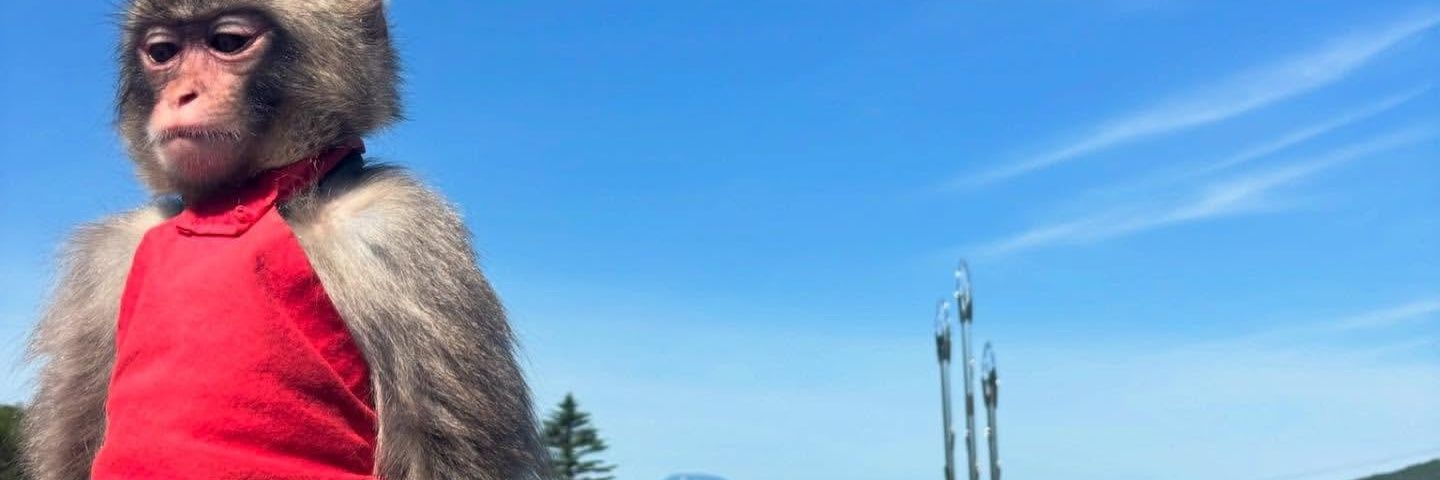 inyourjawn's profile banner image
