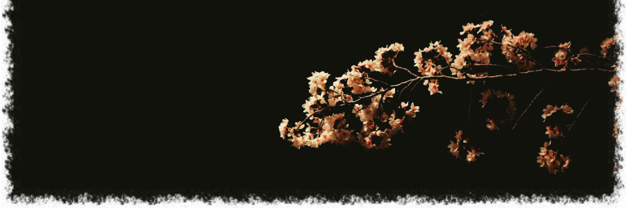 kitowchyy's profile banner image