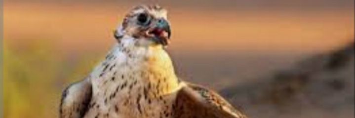 H3_1H's profile banner image