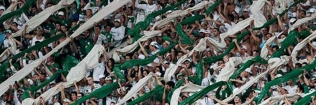 CarcamanoSEP's profile banner image