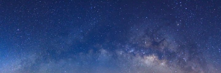 Annibee banner