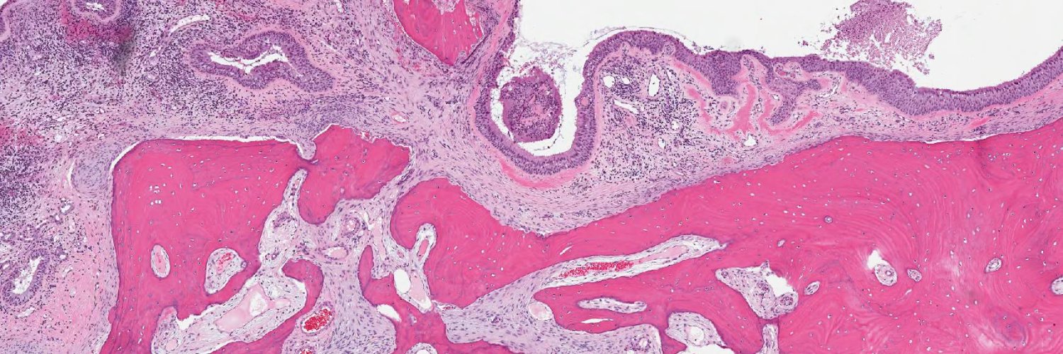 Maryland Society Of Pathologists banner